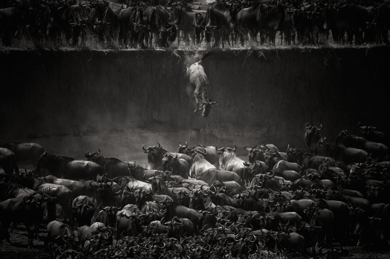Illustration for article titled Las fotos más impresionantes que nos han marcado en 2014